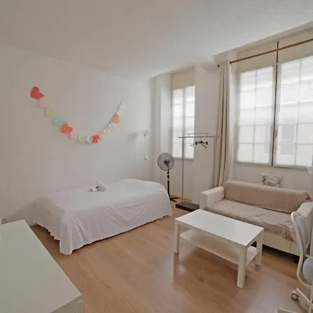 Apartment Cute Little Studio *quartier Saint-pierre* Bordeaux